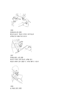 [물리치료] 진행성 근 이영양증[Progressive Muscular Dystrophy,PMD]환자에 대한 이해와 운동치료-5