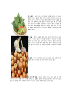 [병리학] 노화에 관한 조사-8