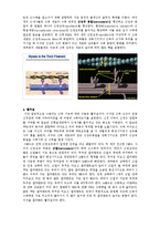 [의학] 근수축의 기전에 관해-2