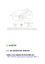 성의 생물학 -[A+] 남성과 여성의 성호르몬에 대하여-4