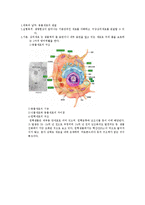 생물보고서 - 동물세포의 관찰-1