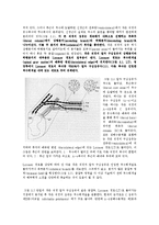 통증의학 - 중추신경계에서의 통증 경로[Pain Pathway in the Central Nervous System]-3