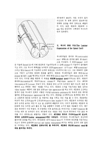 통증의학 - 중추신경계에서의 통증 경로[Pain Pathway in the Central Nervous System]-4