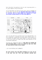통증의학 - 중추신경계에서의 통증 경로[Pain Pathway in the Central Nervous System]-6
