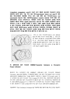 통증의학 - 중추신경계에서의 통증 경로[Pain Pathway in the Central Nervous System]-7