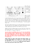 통증의학 - 중추신경계에서의 통증 경로[Pain Pathway in the Central Nervous System]-11