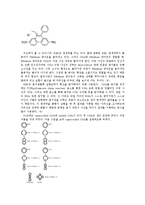 제한효소를 통한 DNA 분해와 전기 영동-3