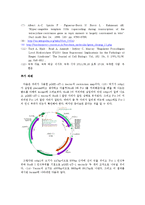 제한효소를 통한 DNA 분해와 전기 영동-6