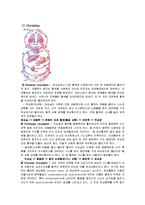 순환계의 구조와 기능-3