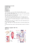 [의학] 근방추[Muscle Spindle] & GTO에 관해-3