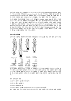 [의학] 근방추[Muscle Spindle] & GTO에 관해-4