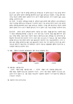 생물학 - 삼투와 물질이동[예비]-3