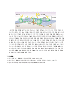 생물학 - 삼투와 물질이동[예비]-4