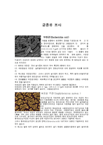 [의학] 균종류 조사-1