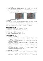 영역별 뇌 기능 및 증상-4