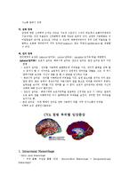 영역별 뇌 기능 및 증상-6