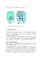 의학 - 단백질 생합성-2