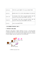 의학 - 단백질 생합성-5