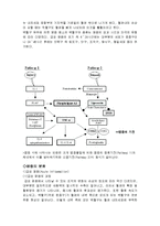 [의학] 염증의 기전과 인체에 미치는 영향-4