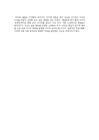 [국문학] 홍길동전(洪吉童傳) 작품 분석-16