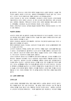 [국문학] 한국문학통사-9