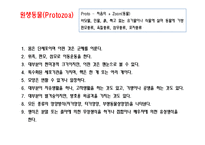 [일반생물학] 동물계의 분류와 계통-15