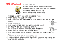 [일반생물학] 동물계의 분류와 계통-16
