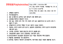 [일반생물학] 동물계의 분류와 계통-19