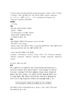 실험보고서 - 단백질과 DNA의 정량-3