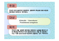 [미생물실험] 주어진 균의 일반적인 형태학적, 생화학적 특성에 의해 어떻게 배지에서 자라는지 연구-2