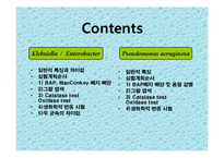 [미생물실험] 주어진 균의 일반적인 형태학적, 생화학적 특성에 의해 어떻게 배지에서 자라는지 연구-3