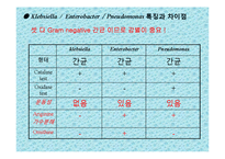 [미생물실험] 주어진 균의 일반적인 형태학적, 생화학적 특성에 의해 어떻게 배지에서 자라는지 연구-5