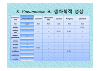 [미생물실험] 주어진 균의 일반적인 형태학적, 생화학적 특성에 의해 어떻게 배지에서 자라는지 연구-8