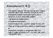 [미생물실험] 주어진 균의 일반적인 형태학적, 생화학적 특성에 의해 어떻게 배지에서 자라는지 연구-11