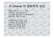 [미생물실험] 주어진 균의 일반적인 형태학적, 생화학적 특성에 의해 어떻게 배지에서 자라는지 연구-14