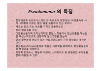 [미생물실험] 주어진 균의 일반적인 형태학적, 생화학적 특성에 의해 어떻게 배지에서 자라는지 연구-16