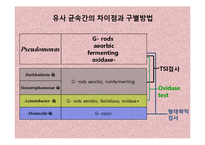 [미생물실험] 주어진 균의 일반적인 형태학적, 생화학적 특성에 의해 어떻게 배지에서 자라는지 연구-18