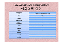 [미생물실험] 주어진 균의 일반적인 형태학적, 생화학적 특성에 의해 어떻게 배지에서 자라는지 연구-20