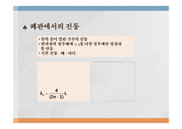 실험보고서 - 기주공명 실험-8