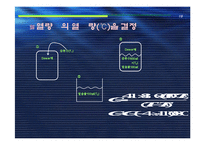 [실험보고서] 중화열 측정 - 열량계법-20