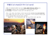 신재생에너지 - 대체에너지원에 대한 개발 의지-10