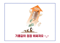 신재생에너지 - 대체에너지원에 대한 개발 의지-13
