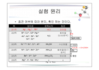 화학실험 - 양이온1족의 정성분석-4