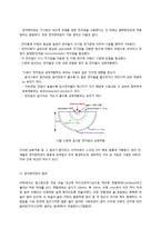 일반생물학 - 현미경에 대해서-11