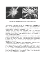 일반생물학 - 현미경에 대해서-13