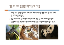 동물복제와 인간복제 당신은 찬성입니까-5