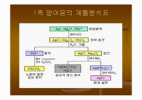 [화학] 1족 양이온의 정성분석-13