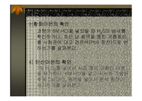 음이온의 확인 - 점적분석-10