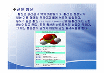 니트로벤젠[Nitrobenzene] 합성-11