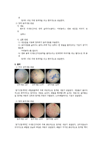 [일반생물학] 세포관찰-2